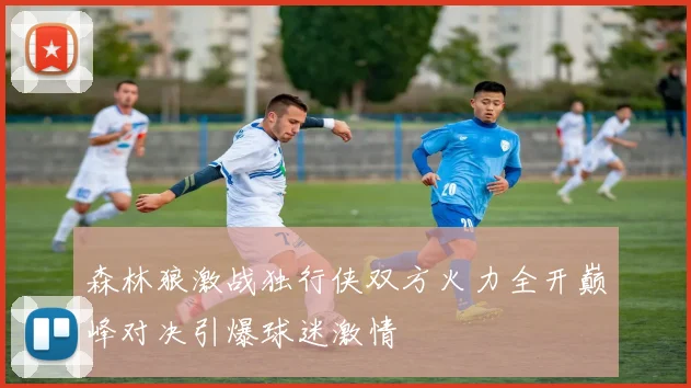 森林狼激战独行侠双方火力全开巅峰对决引爆球迷激情