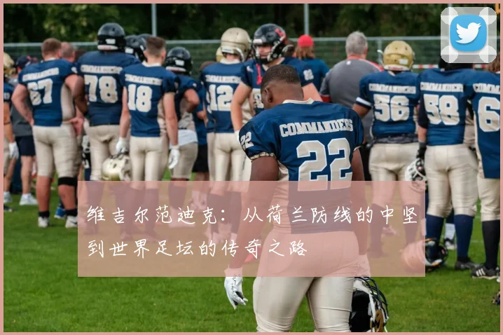 维吉尔范迪克：从荷兰防线的中坚到世界足坛的传奇之路