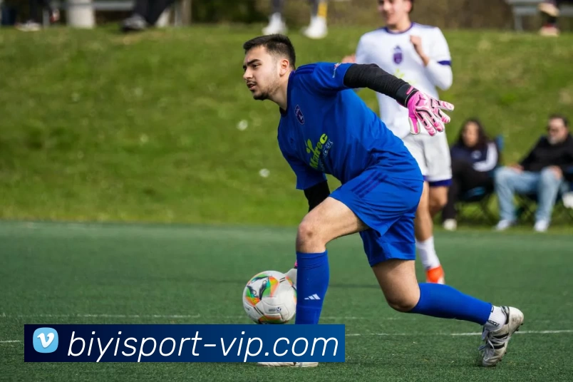 biyi体育APP 高清赛事图